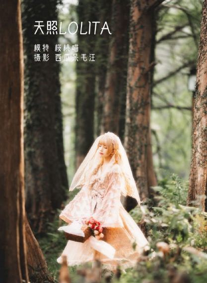 国产精品区在线观看_DVD全集在线观看